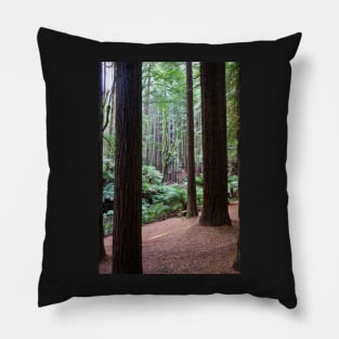 Tall dark redwood tree trunks. Pillow