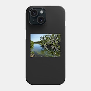 Mangroves on the water at Robinson Preserve in Florida Phone Case