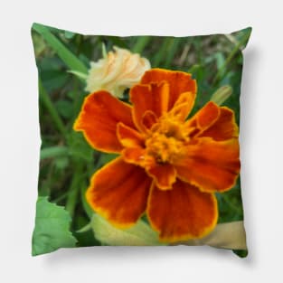 Rusty Orange Marigold Pillow