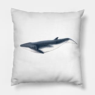 Baby whale Pillow