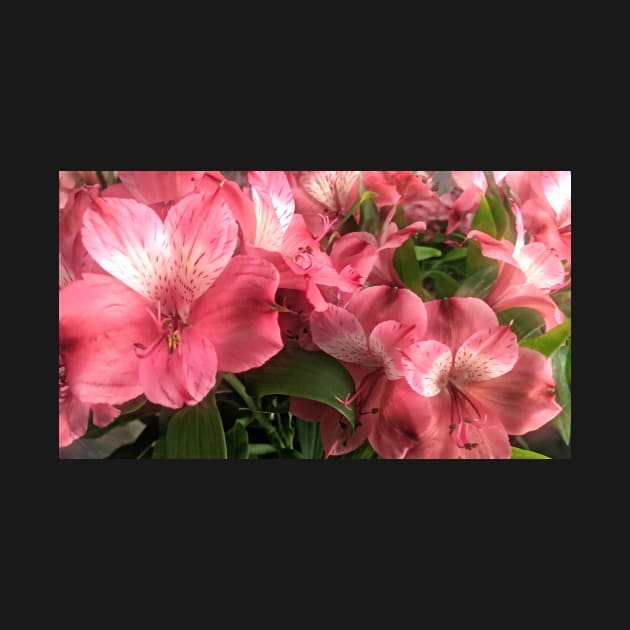 Pretty Pink Flowers by PandLCreations