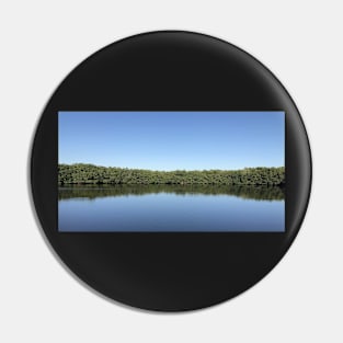 Weedon Island Preserve Mangroves Pin