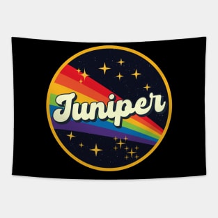 Juniper // Rainbow In Space Vintage Style Tapestry