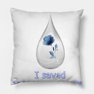 Water Hero Pillow