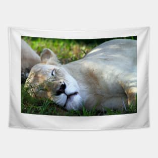 Sleeping White Lion Tapestry