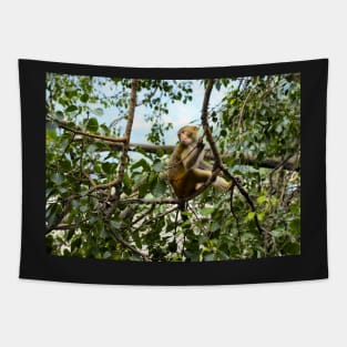 Planet Monkey Jungle Wildlife Tapestry
