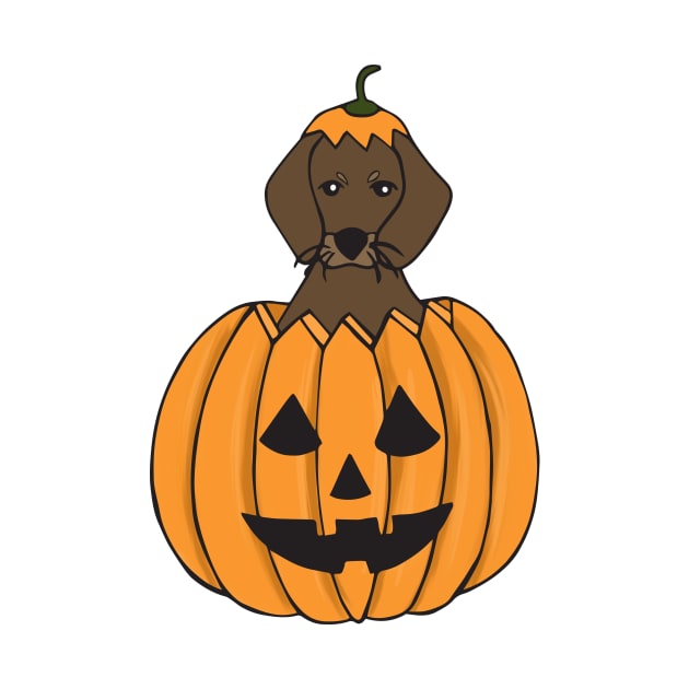 Dachshund in a Halloween Pumpkin by estudioanzol