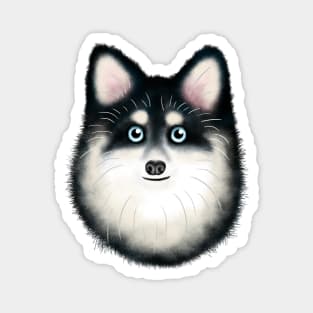 Black and White Pomsky Magnet