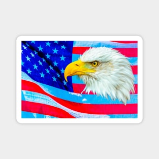 Bald Eagle over the Stars and Stripes Magnet