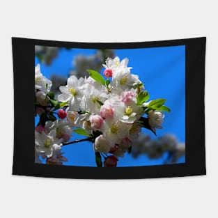 Blossoms Tapestry