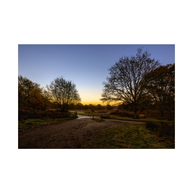 Richmond Park Sunrise by GrahamPrentice