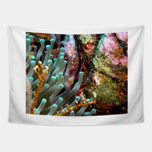 Sea Anemone and Coral Wall Tapestry