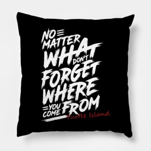 Where You Come From Turtle Island Pillow