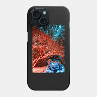 Winter Night Lights of Meadowlark Gardens Phone Case