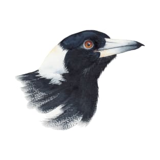 Australian Magpie T-Shirt