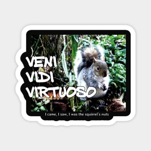 Veni Vidi Virtuoso - I came, I saw, I was the squirrel’s nuts Magnet