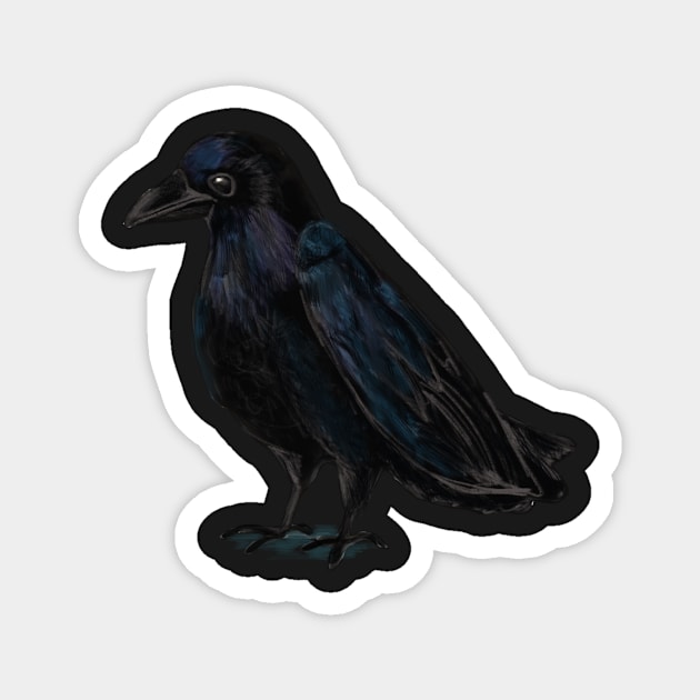 Common Raven Magnet by shehitsback