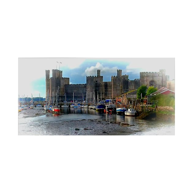 CAERNARFON CASTLE HARBOUR by dumbodancer