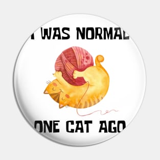 Funny Cat Phrase Pin