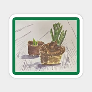 Onions Growing in Pots Magnet