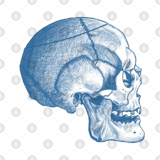 Side Skull Sketch - Blue/Light by Designs by Kat