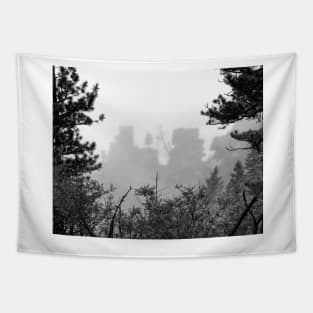 Cloudy View Tapestry