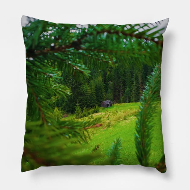 Old house in the forest Pillow by psychoshadow