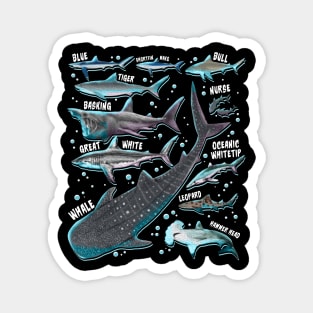 Shark Species Shark Gifts Shark Faces Tee Marine Biology Magnet