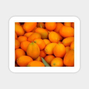 Kumquats Magnet