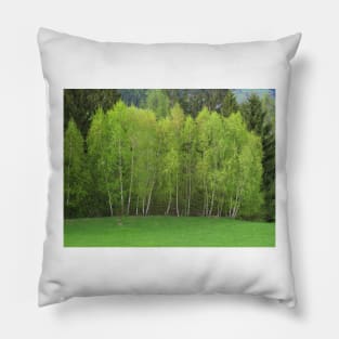 Spring Green - Birch Trees Pillow