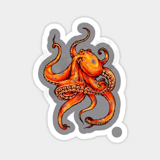 Octopus Magnet