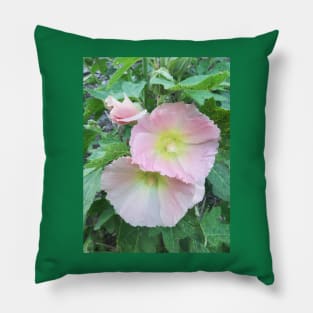 Pale pink hollyhocks photograph Pillow