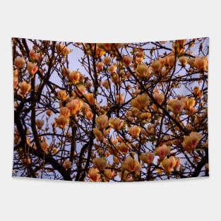 Peach flowers spring colors photography Tapestry