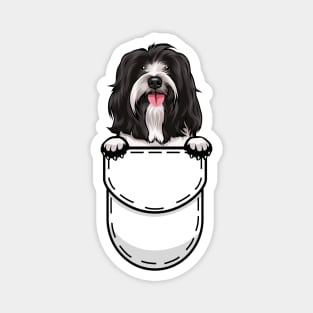 Funny Tibetan Terrier Pocket Dog Magnet