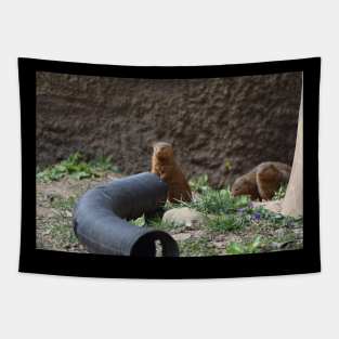 Mongoose Tapestry