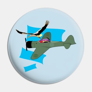 stork and old plane Pin