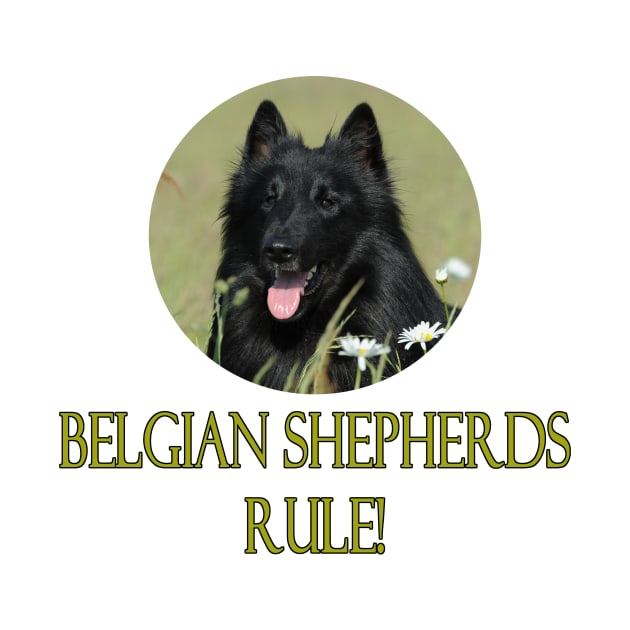 Belgian Shepherds Rule! by Naves