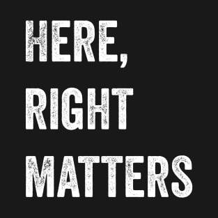 Here, Right Matters. Lt. Col. Vindman Impeachment hearing quote T-Shirt