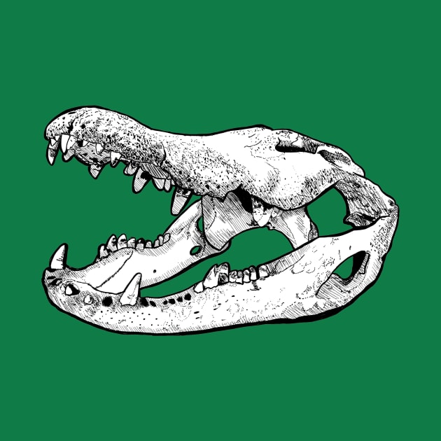 Gator Skull by Durvin