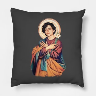 Saint Elio Pillow