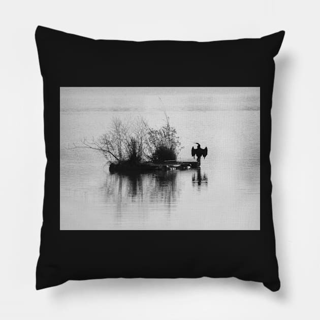 The Preacher - Black Cormorant Pillow by DeborahMcGrath