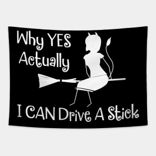 Why Yes I Can Drive A Stick Witch Tapestry