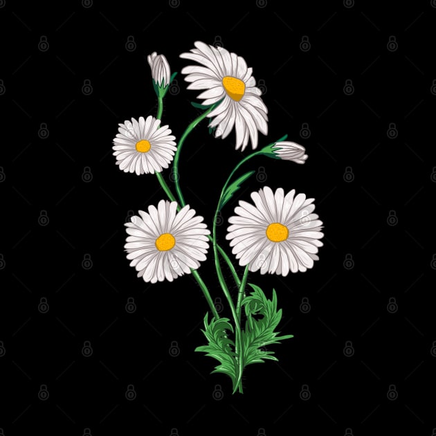 Daisies Chamomile & Marguerites Bouquet Retro Daisy Flower by Ai Wanderer