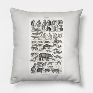 Mammalia by Oliver Goldsmith Pillow