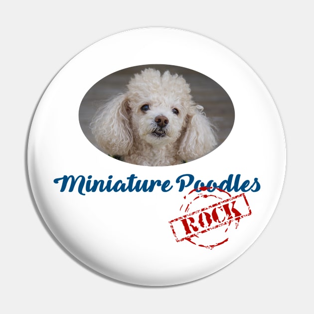 Miniature Poodles Rock! Pin by Naves