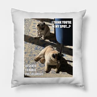 Pugs in the Sun Pillow