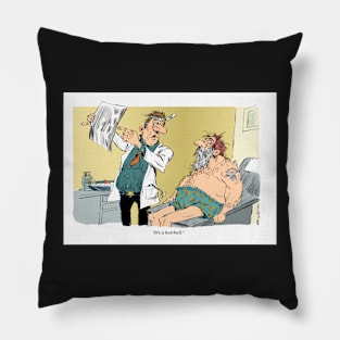 Next time see a vet. Pillow