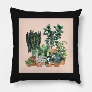 House Plants Illustration 1 On Pink Pillow