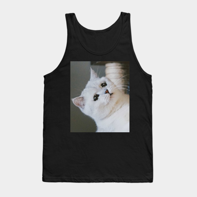 Sad Cat Crying Cat Cute Meme Sad Cat Crying Cat Cute Meme Tank