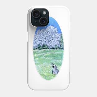 CA Quail in a meadow Phone Case